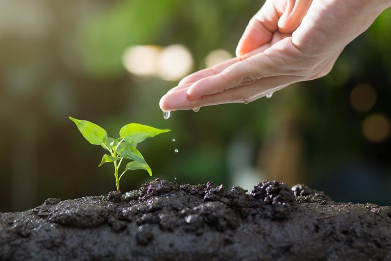 Liquid Fertilizer