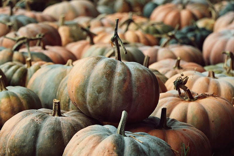 Fall Vegetables