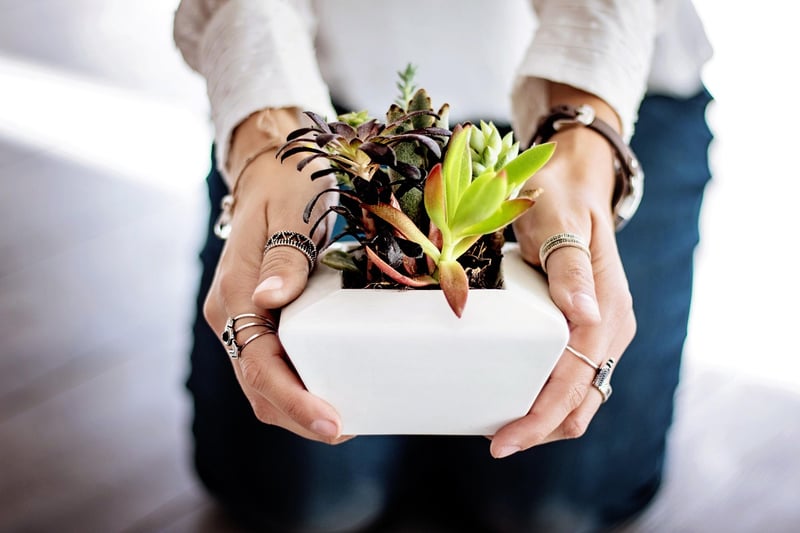 Upcycled Tire Planters